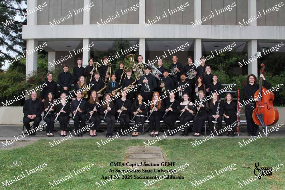 Musical Images
